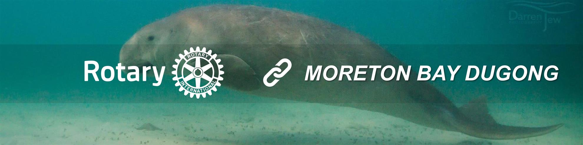 DC-Moreton-Bay-Dugong