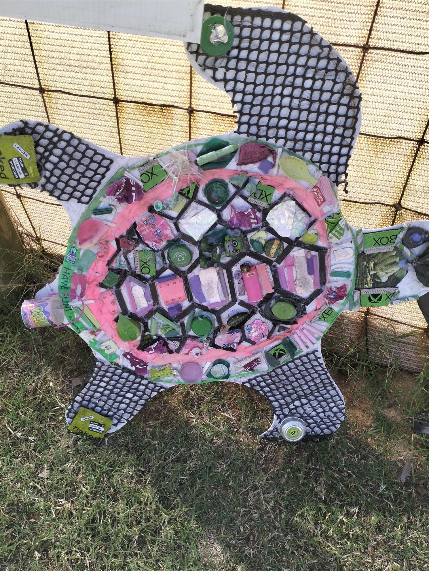 turtle weekend 2026 | Rotary Club of Redcliffe Sunrise