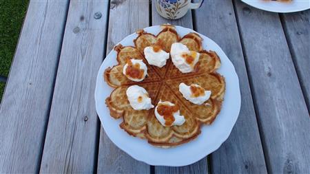 artikeltumnagel
