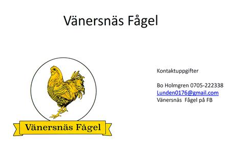artikeltumnagel