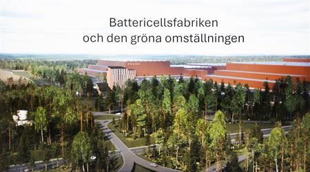 artikeltumnagel