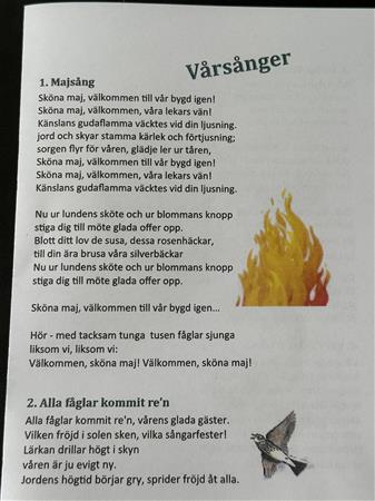 artikeltumnagel