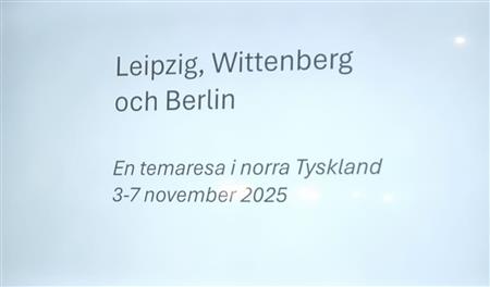 artikeltumnagel