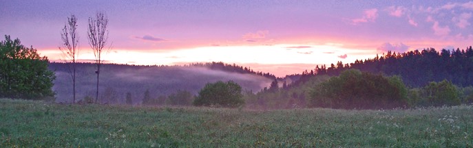 Morgonrodnad
