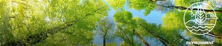 Environment