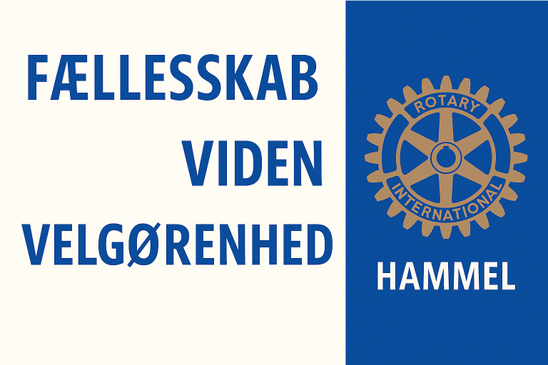 Rotary Hammel værdier