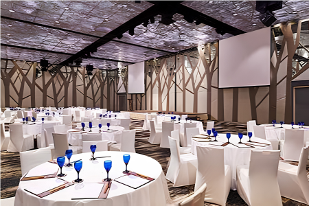 Rotary Club of Nexus Singapore: Charter Celebration