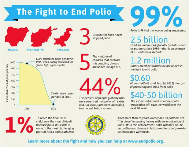 End Polio Infographic