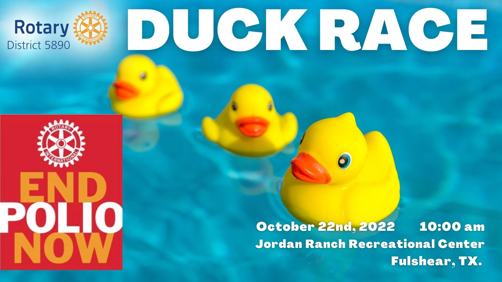 ROVIGO ITALY 30 OCTOBER 2021 Cool Rubber duckies running around in