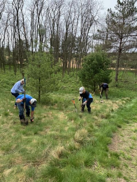 A group of people working in a fieldAI-generated content may be incorrect.