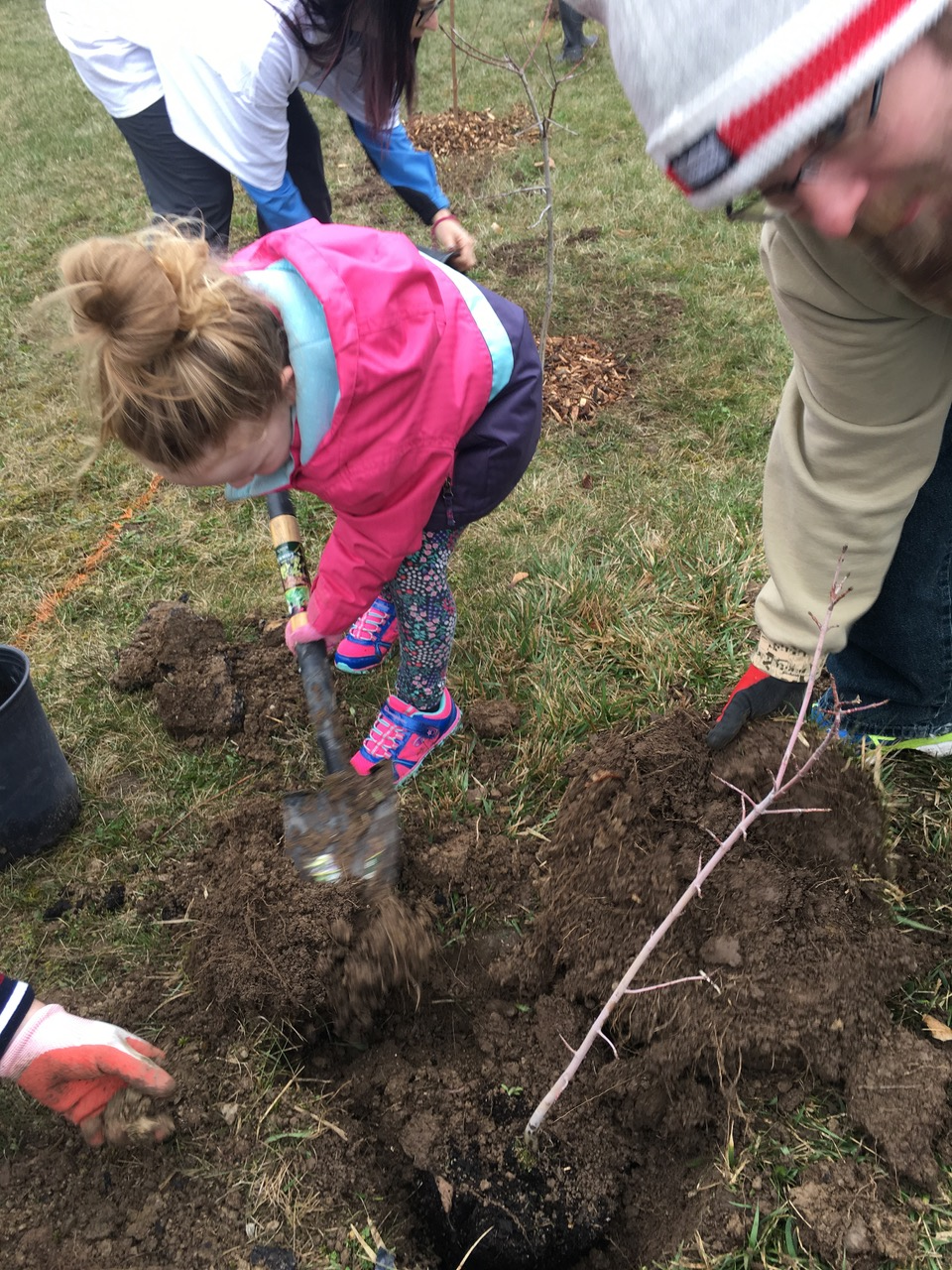 District Wide Tree Planting on Earth Day weekend | Rotary District 7080