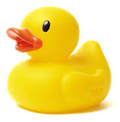 Dunnville Duck Race | Rotary District 7090