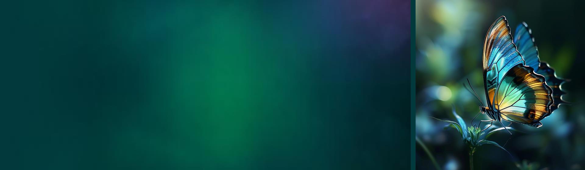 OPERATION POLLINATION