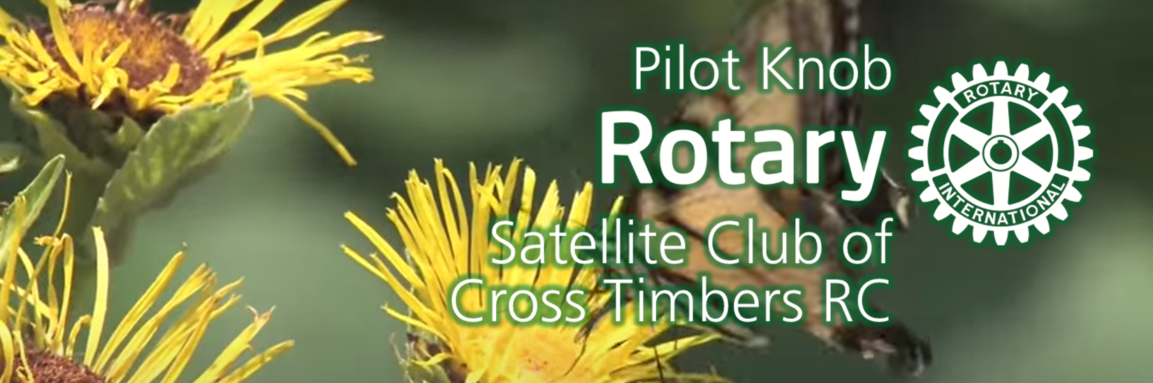 Pilot_Knob_Satellite_RC-banner.png