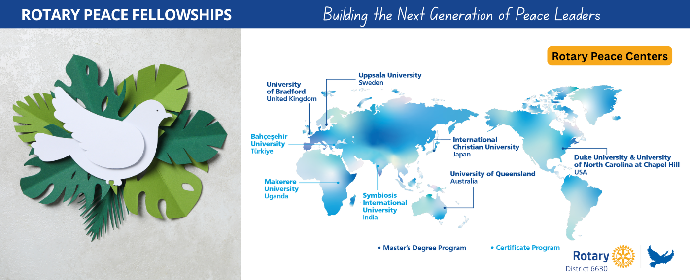 Peace Fellowships 2025