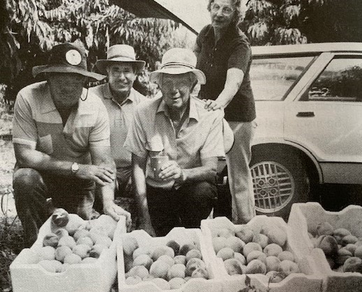 A group of people standing next to a truck full of produceDescription automatically generated with low confidence