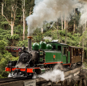 A picture containing train, track, smoke, treeDescription automatically generated