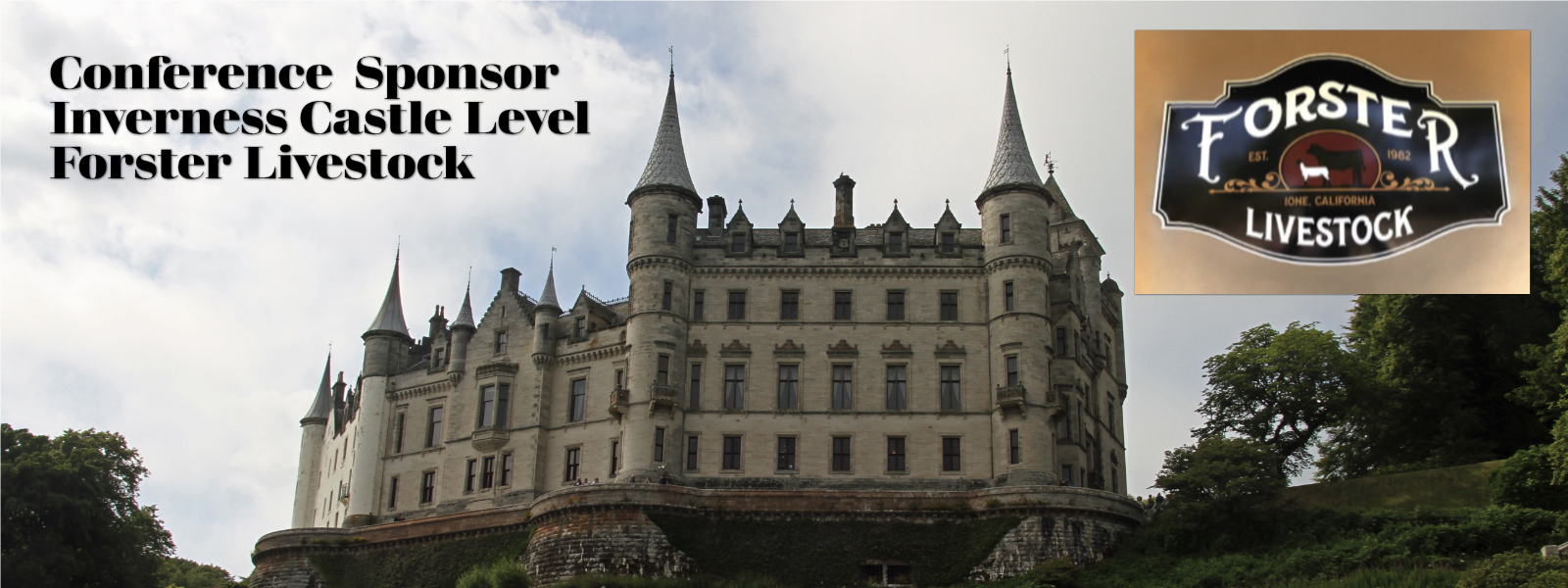 Forster-Livestock---1600-x-600-72-dpi.png