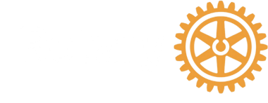 District 4100 logo