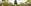 POA_plant_trees_banner_1900x400.jpg