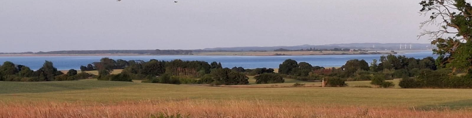 landscape_1600x400.jpeg
