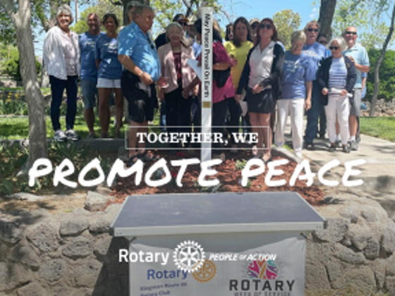 Fostering peace through Rotary Friendship Exchange – Service in Action
