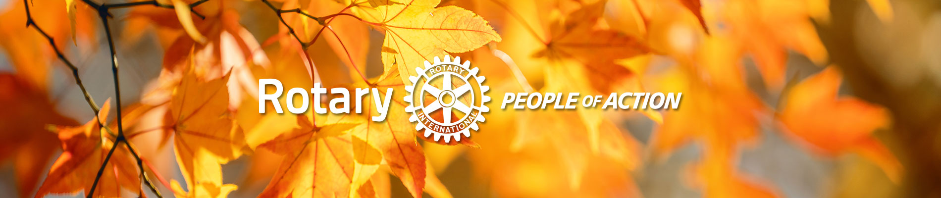 banner_autumn1_1900x400.jpg