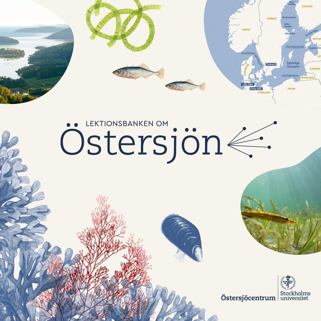 webbinariet-om-stersj-centrums-nya-utbildningsprogram-lektionsbanken
