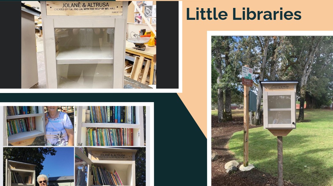 Little-Libraries.jpg
