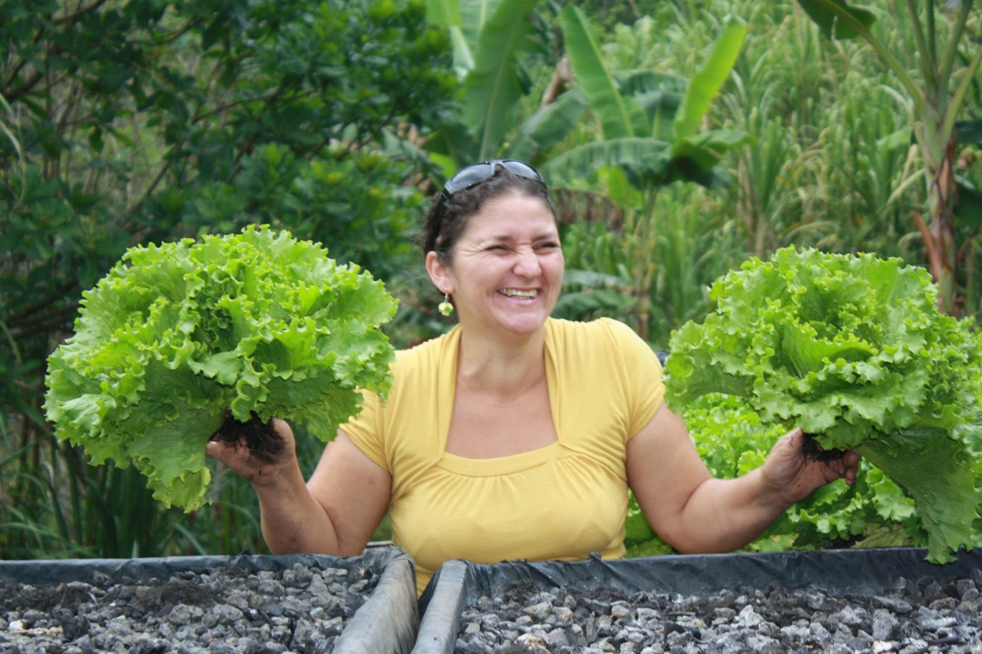 A Costa Rican microcredit entrepreneur smiling broadly, holding up two heads of hydroponic lettuce from her business