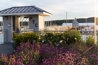 sloop tavern yacht club reciprocal moorage