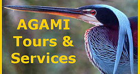 Agami Tours and Service
