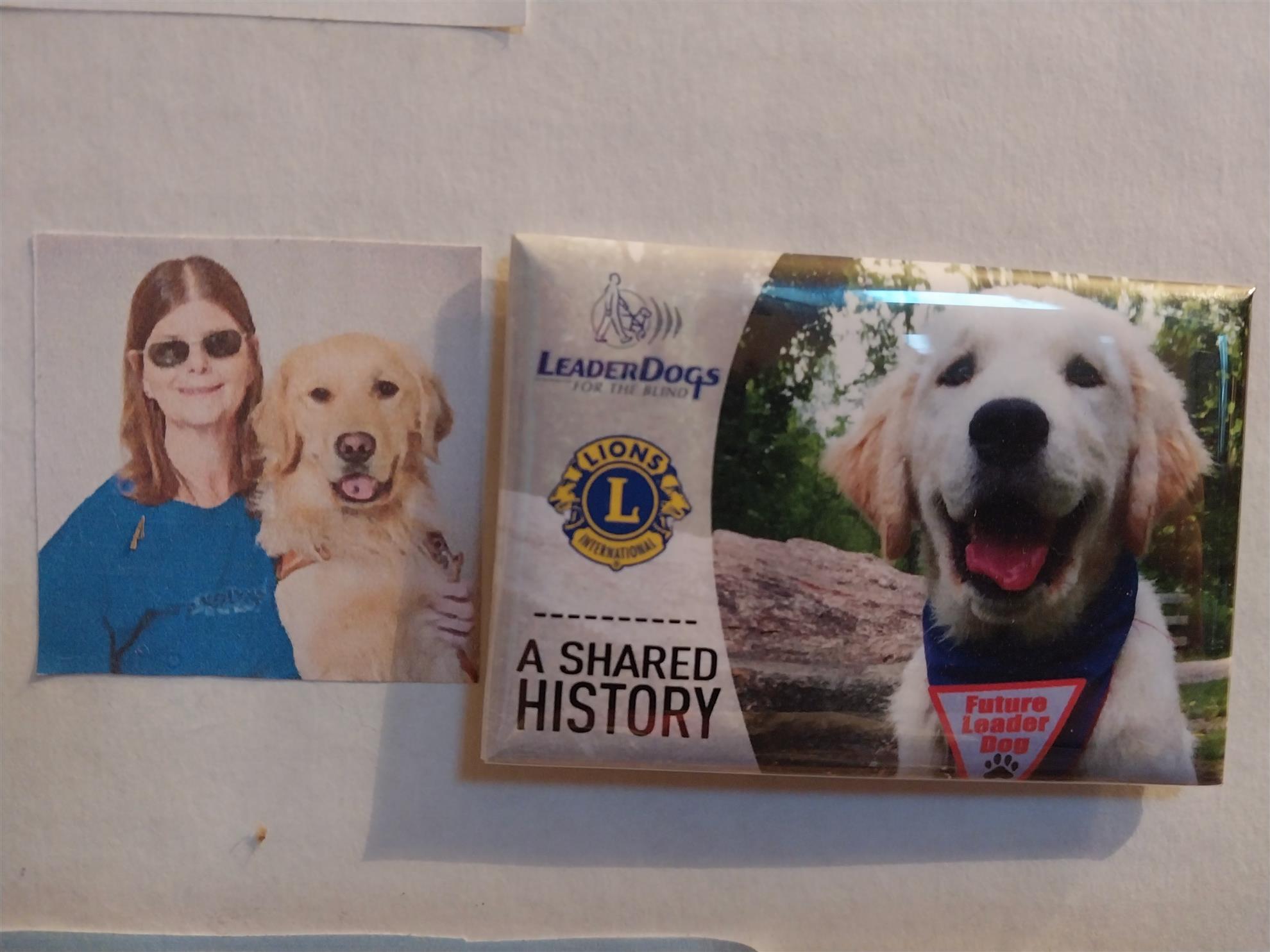 Leader Dogs (Seeing Eye Dogs), The Gail Buck & Dutch Story New