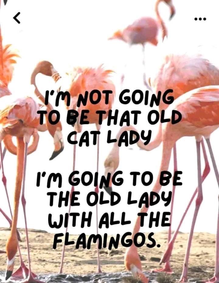 Flamingo-Lady.JPEG