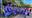 All-The-5OCP-Champions.jpg
