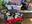 IMG_4123.JPEG