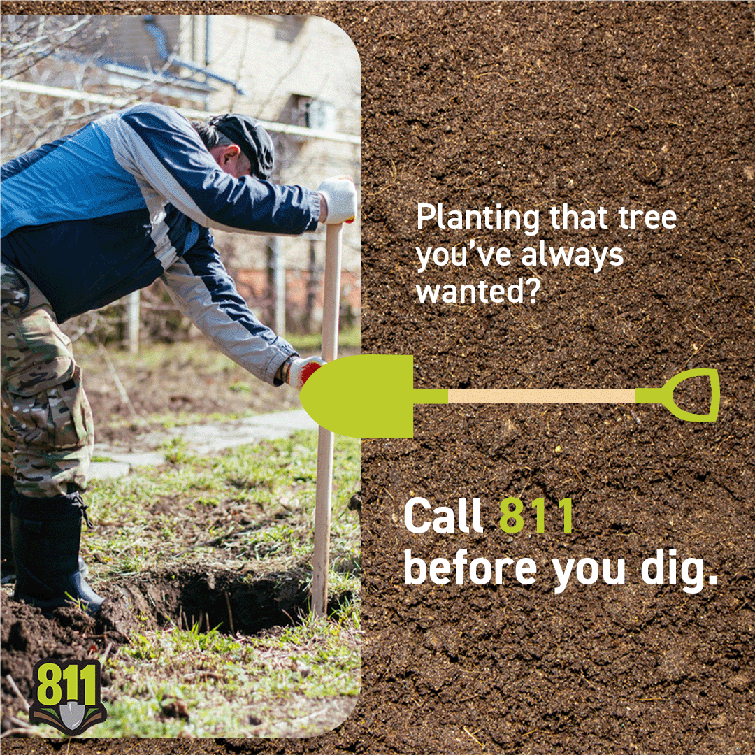 Planting that tree you've always wanted? Call 811 before you dig.