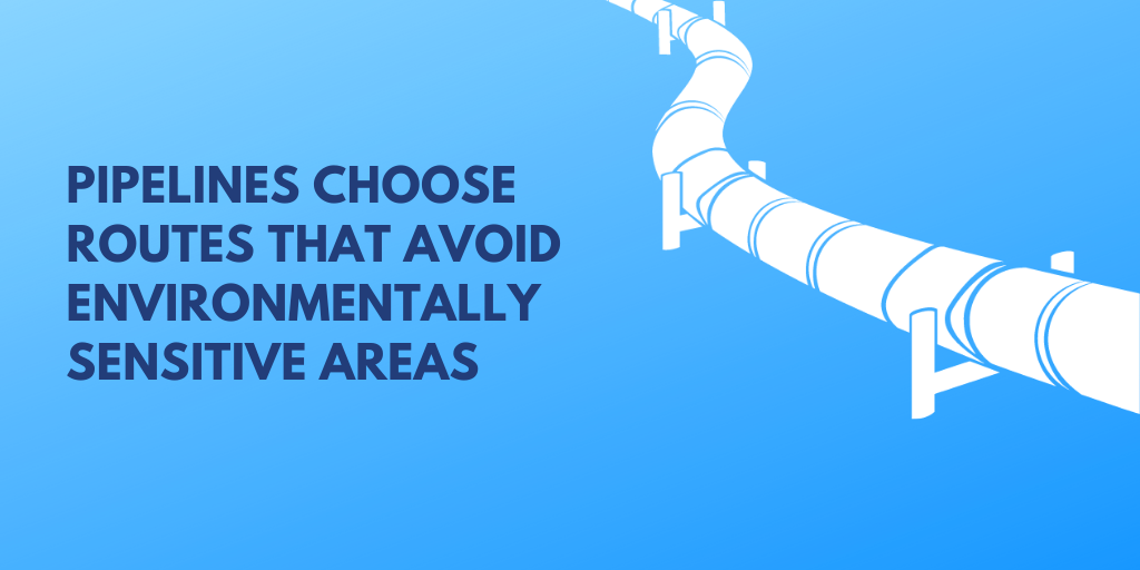 Pipelines Choose Routes that Avoid Environmentally Sensitive Areas 