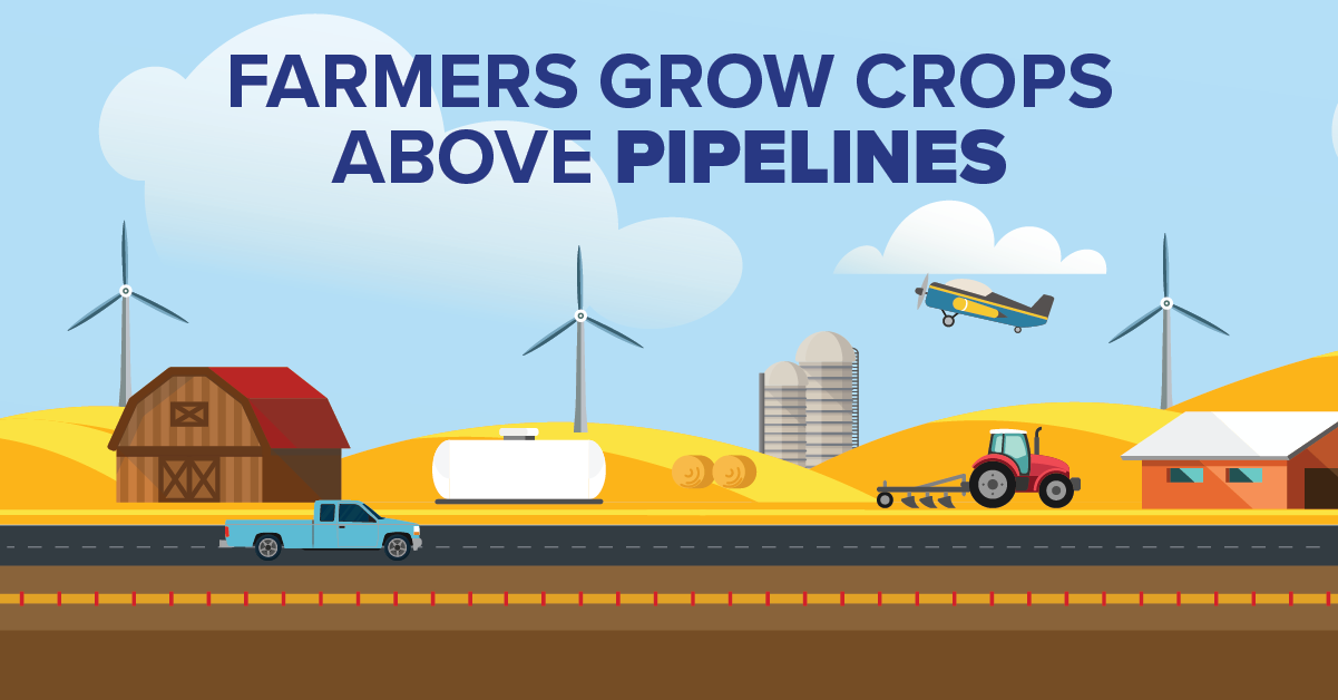 Farmers Grow Crops Above Pipelines