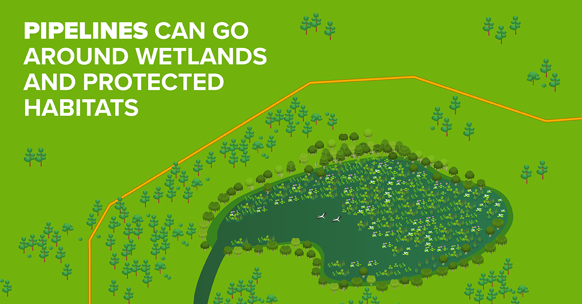 Pipelines can go around wetlands and protected habitats