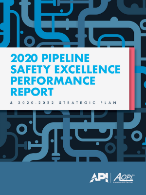 2020 Performance Report