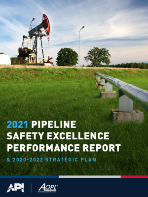 2020 Annual Performance Report