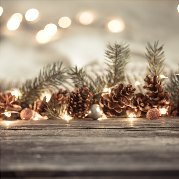 Southwest Virginia Holiday Party