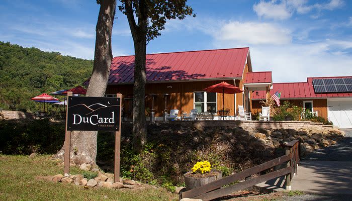 Shenandoah National Park Hike and DuCard Winery Tour | Virginia Section ...