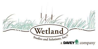 Wetlands Studies and Solutions Inc.
