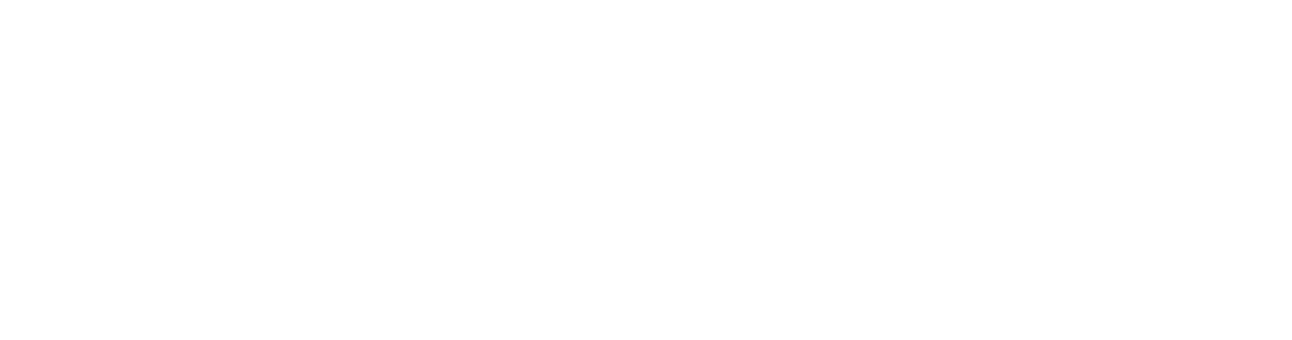 NPAworldwide logo