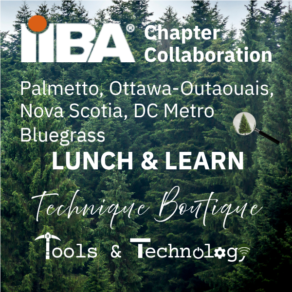 Seeing the Forest and the Trees: A Professional Clarity Framework for Business Analysts Navigating Complexity