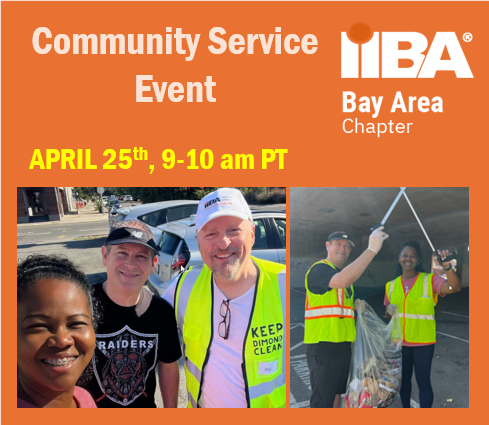 IIBA Community Service Event - Keep Dimond Clean