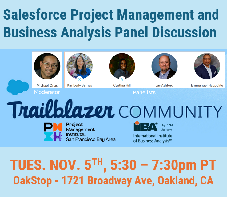 Salesforce Project Management and Business Analysis Panel Discussion