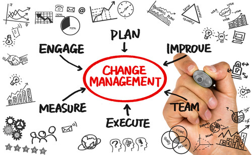Turning Analysis into Adoption: The Change Management Advantage